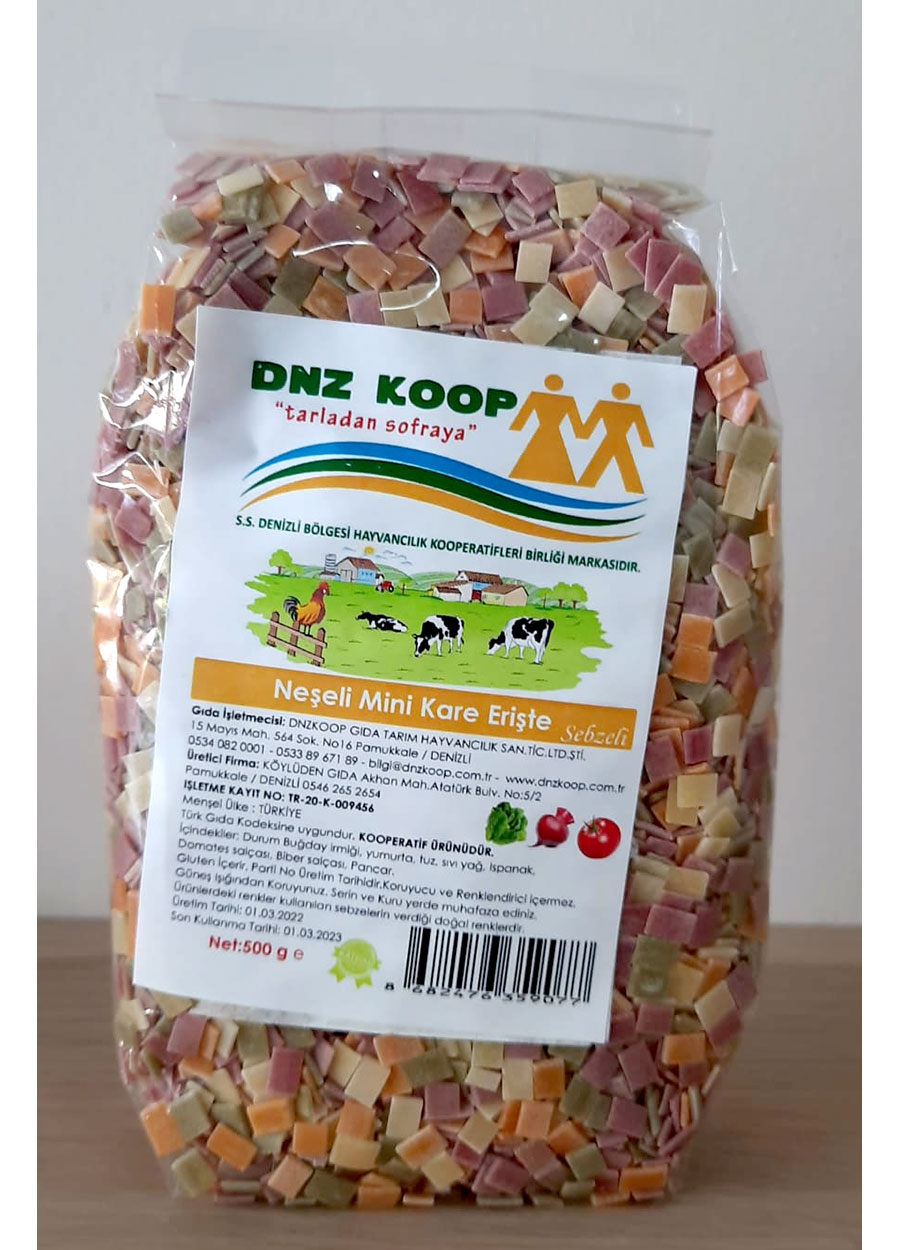 Neşeli Mini Kare Erişte 500 gr - Dnz Koop